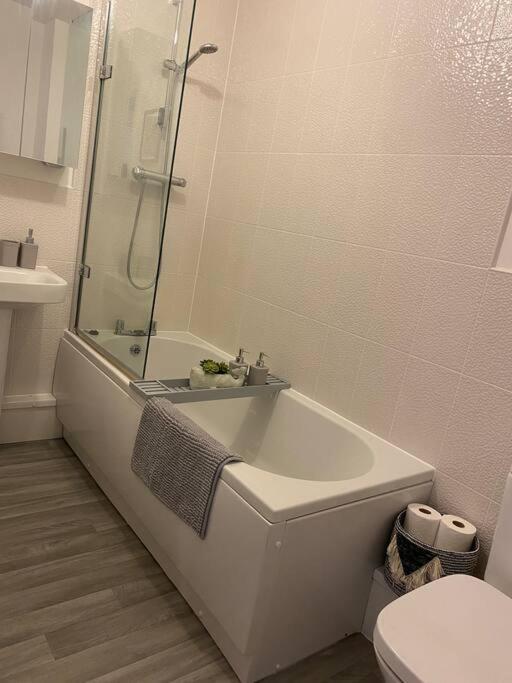 ניופורט Luxury Riverfront Apartment מראה חיצוני תמונה